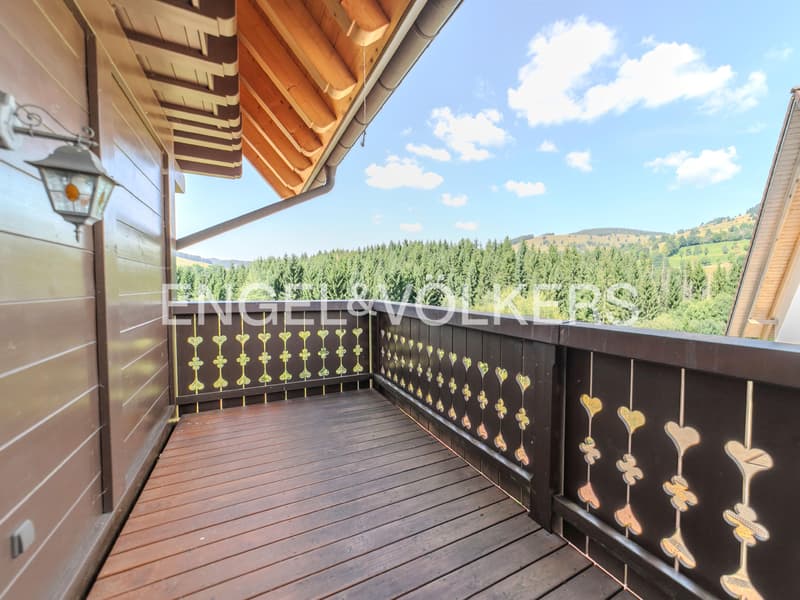 Exquisite Black Forest Estate (9)