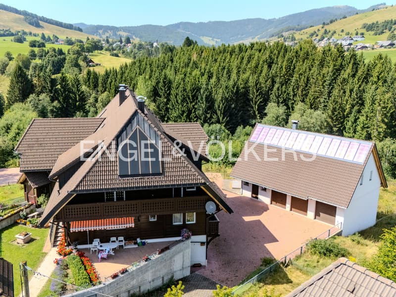 Exquisite Black Forest Estate (4)