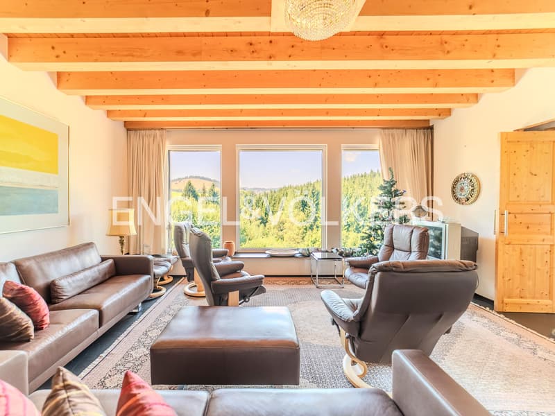 Exquisite Black Forest Estate (10)