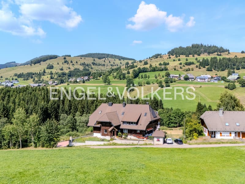 Exquisite Black Forest Estate (2)