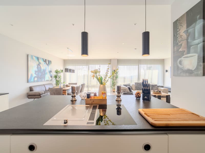 Exklusives Panorama-Apartment (7)