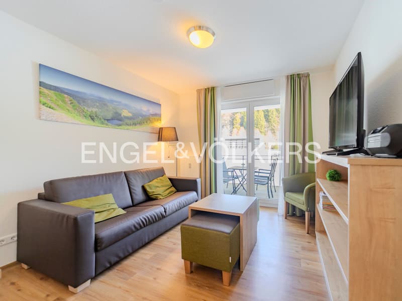 Renditestarke Ferienwohnung am Feldberg (3)
