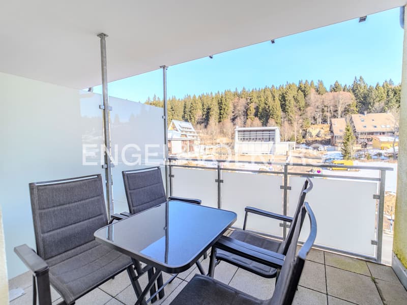 Renditestarke Ferienwohnung am Feldberg (6)