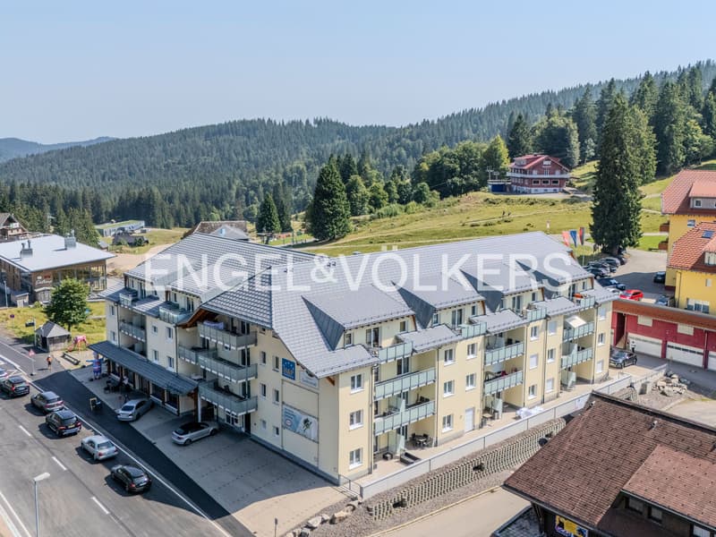Renditestarke Ferienwohnung am Feldberg (8)