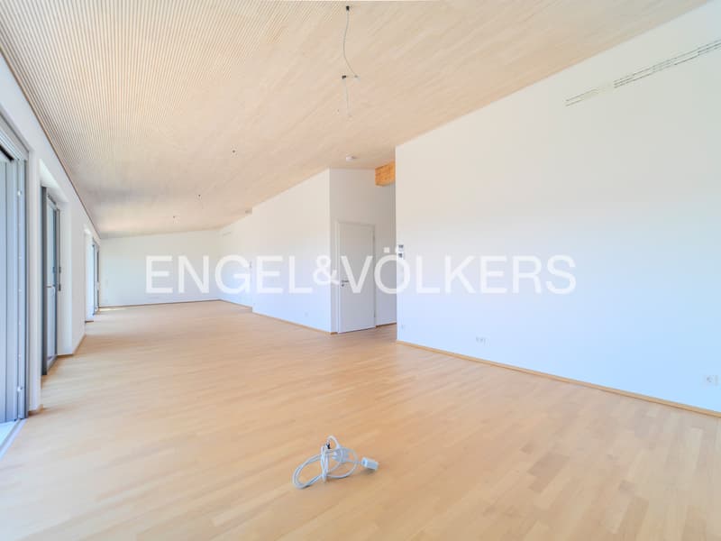 Panorama Attika Residenz in Breitnau - Exklusives Wohnen im Hochschwar (5)