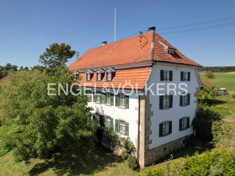 Historisches Anwesen trifft moderne Eleganz - ehemalige Vogtei mit Alp (1)