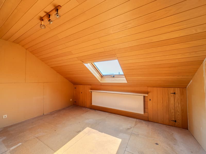 Renovierungsbedürftiges Zweifamilienhaus (12)