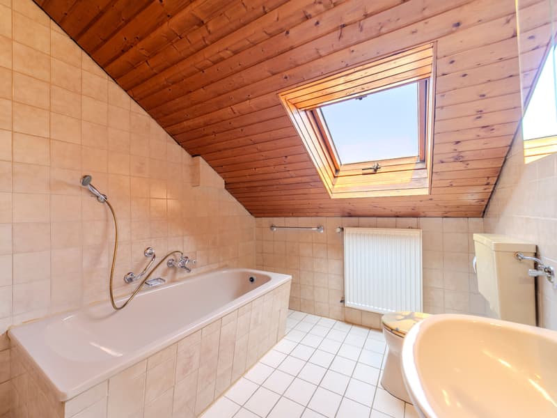 Renovierungsbedürftiges Zweifamilienhaus (13)