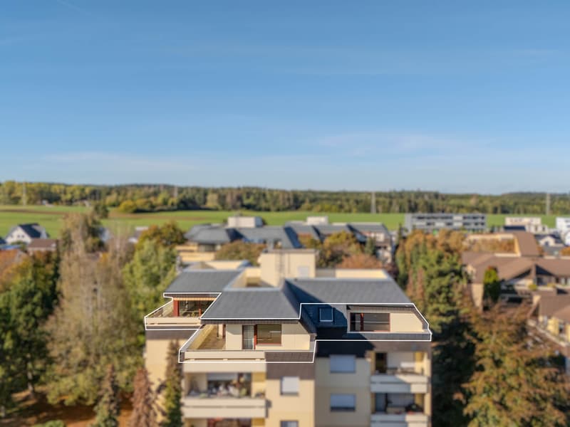 Penthouse-Wohnung mit Panoramablick (2)