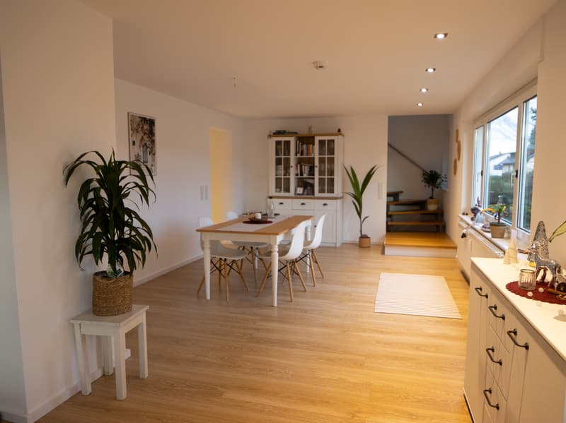 Mehrfamilienhaus mit Einliegerwohnung in Bad Säckingen, Energie-Effizi (1)