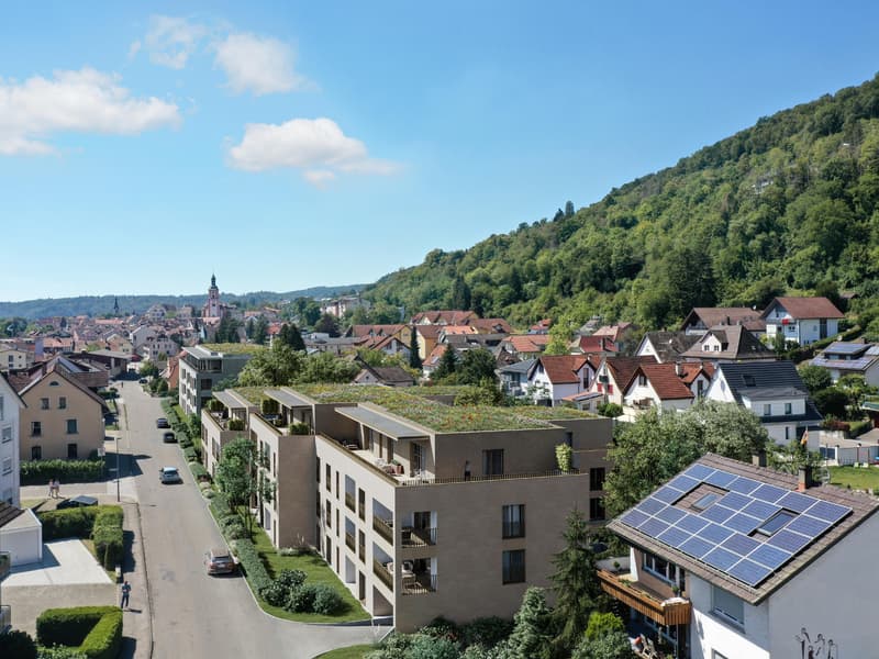Appartements urbains à "Alten Ziegelplatz II" (2)
