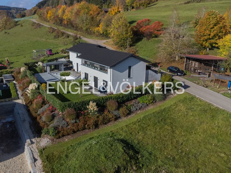 Villa d'architecte exclusive avec vue sur les Alpes près de la frontière suisse (4)