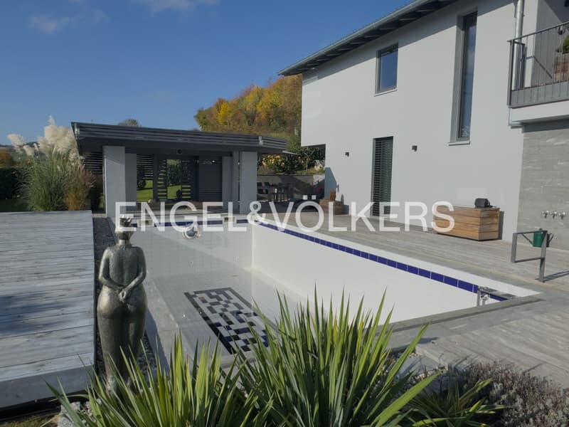 Villa d'architecte exclusive avec vue sur les Alpes près de la frontière suisse (6)
