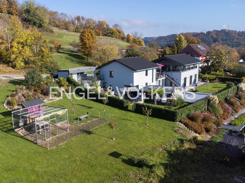 Villa d'architecte exclusive avec vue sur les Alpes près de la frontière suisse (5)
