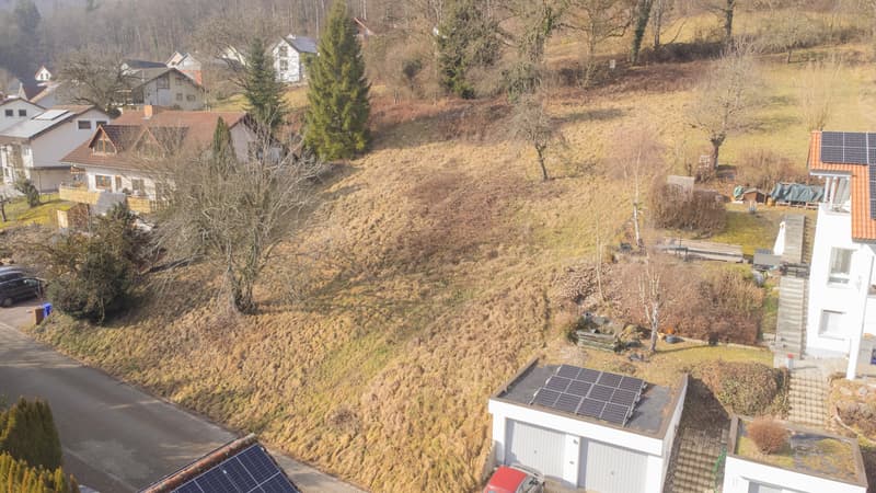Terrain à bâtir aménagé à la frontière suisse à Gurtweil (3)