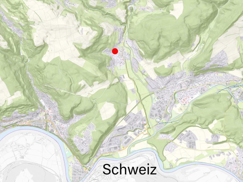 Terrain à bâtir aménagé à la frontière suisse à Gurtweil (4)
