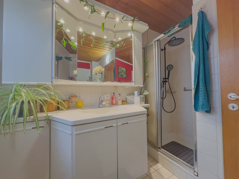 Spacious, barrier-free condominium with two balconies in Tiengen (10)