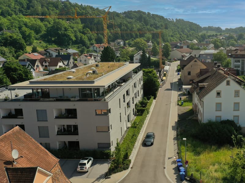 Appartement neuf à Tiengen (2)