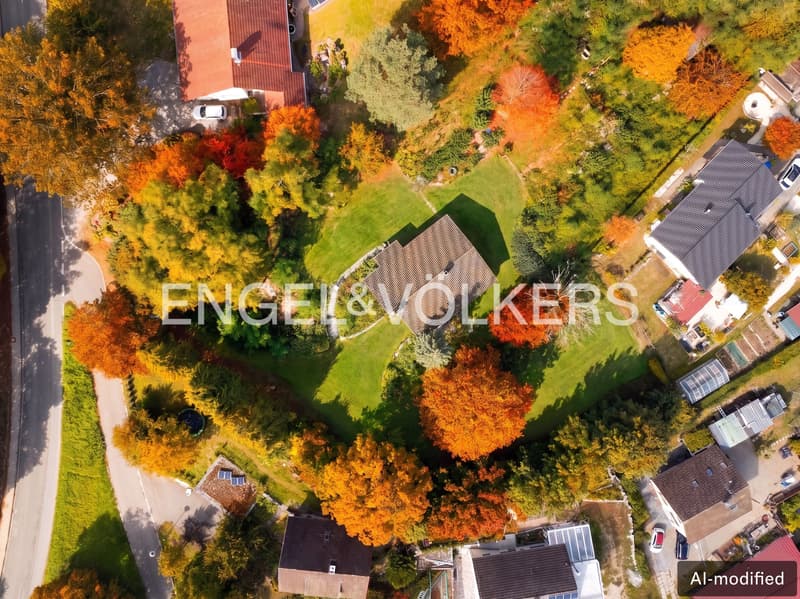 [KI-generiertes Foto]