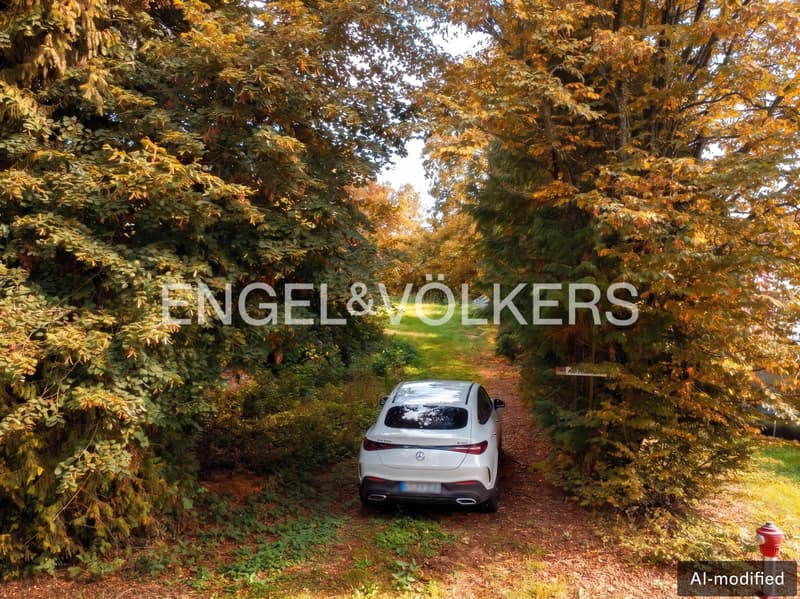 [KI-generiertes Foto]