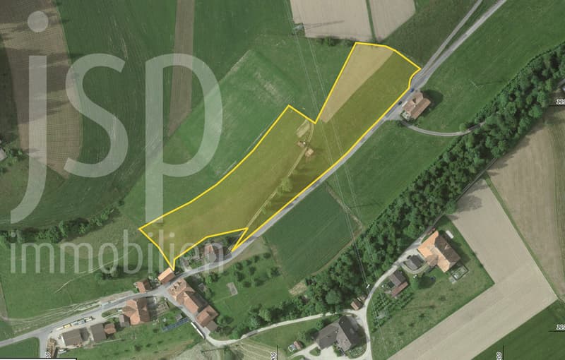 Landwirtschaftsland fast 14'000m2 | homegate.ch