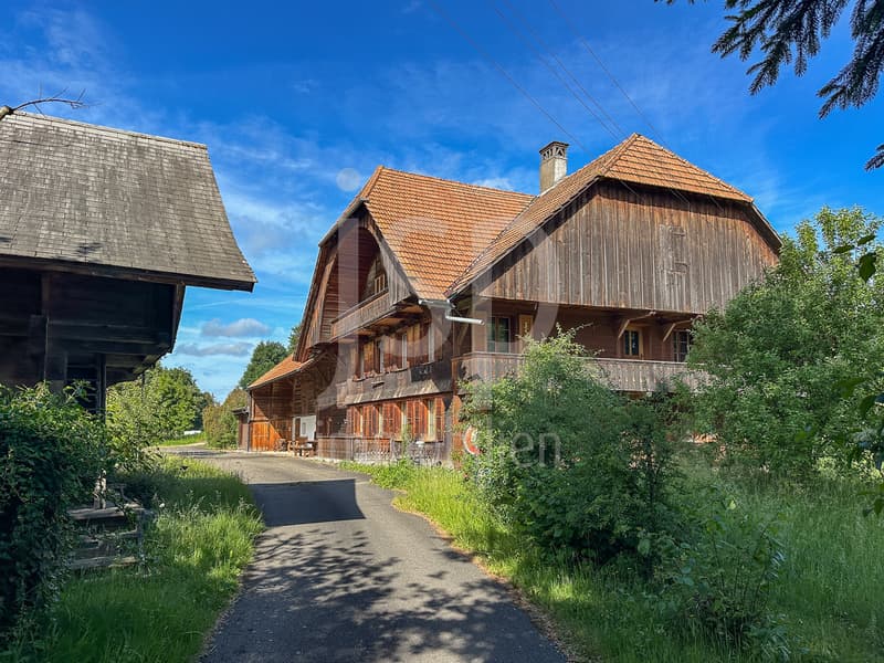 Gepflegtes Bauernhaus mit 3'397m2 Grundstück (2)