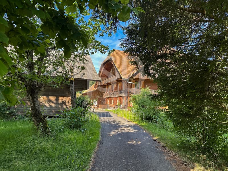 Gepflegtes Bauernhaus mit 3'397m2 Grundstück (1)