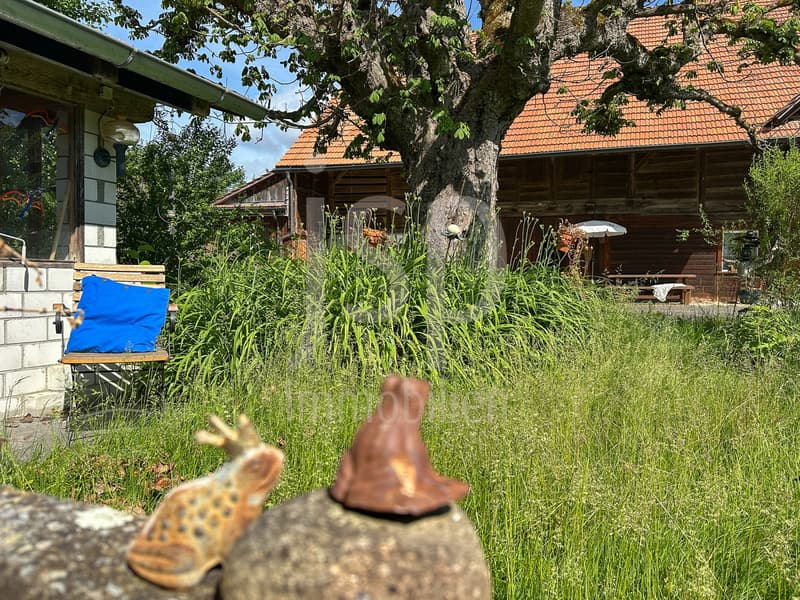 Gepflegtes Bauernhaus mit 3'397m2 Grundstück (7)