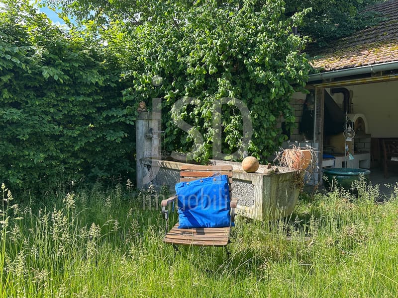 Gepflegtes Bauernhaus mit 3'397m2 Grundstück (6)