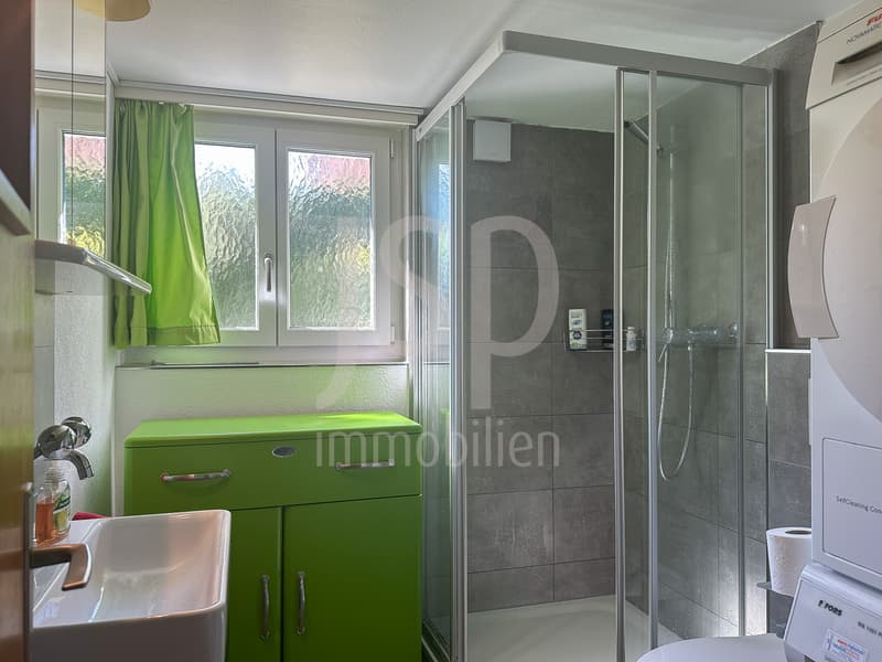 Haus mit zwei Wohnungen am See (13)