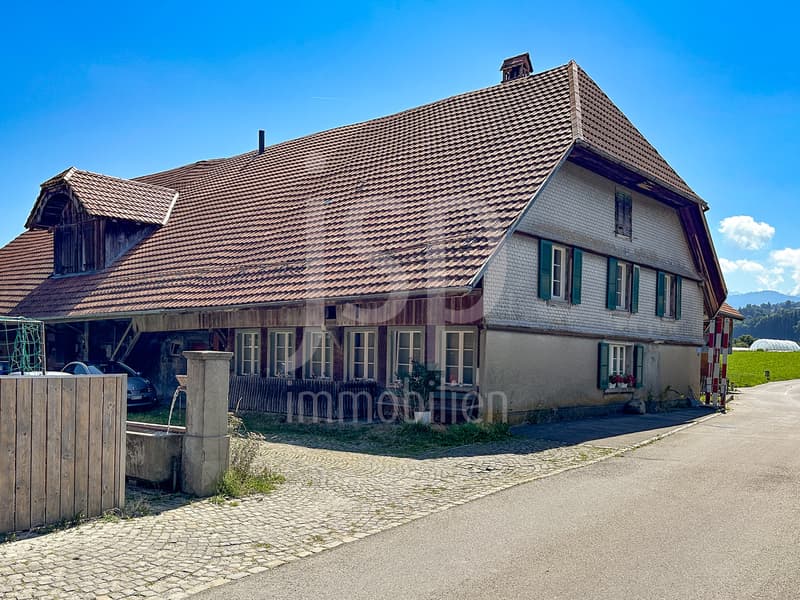 Ungewöhnliche 4.5 Zimmer Wohnung mit grosszügiger Galerie (1)