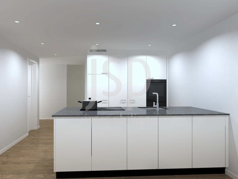 Ungewöhnliche 4.5 Zimmer Wohnung mit grosszügiger Galerie (13)