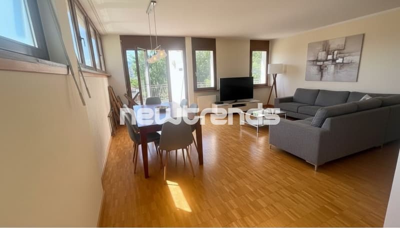 AMPIO 2.5 CON TERRAZZINO E PARZIALE VISTA LAGO CON POSTO AUTO (5)