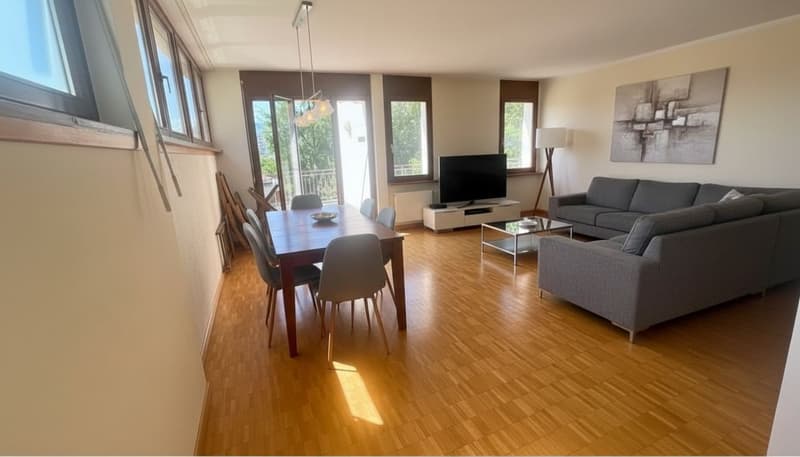 Viganello: 2,5 locali con balcone e vicino a tutti i servizi. (2)