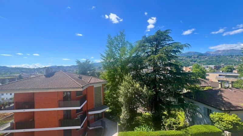 Viganello: 2,5 locali con balcone e vicino a tutti i servizi. (10)