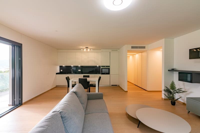 Montagnola: attico 3,5 locali con terrazza e vista lago (5)