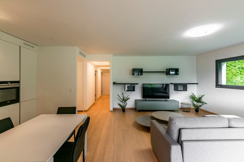 Montagnola: attico 3,5 locali con terrazza e vista lago (2)