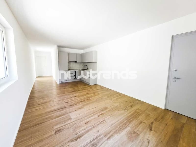 Pura-Caslano: affittasi nuovo 2.5 locali con giardino e patio (9)