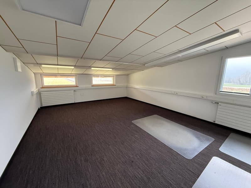 empty room, white walls, brown carpet, two windows, radiators, bright ceiling lamps
