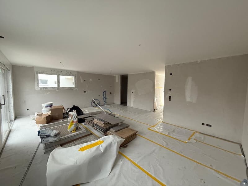 A 40 MINUTES DE LAUSANNE! PLUS QUE 2 VILLAS DISPONIBLES! (3)