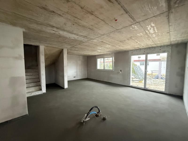 A 40 MINUTES DE LAUSANNE! PLUS QUE 2 VILLAS DISPONIBLES! (5)