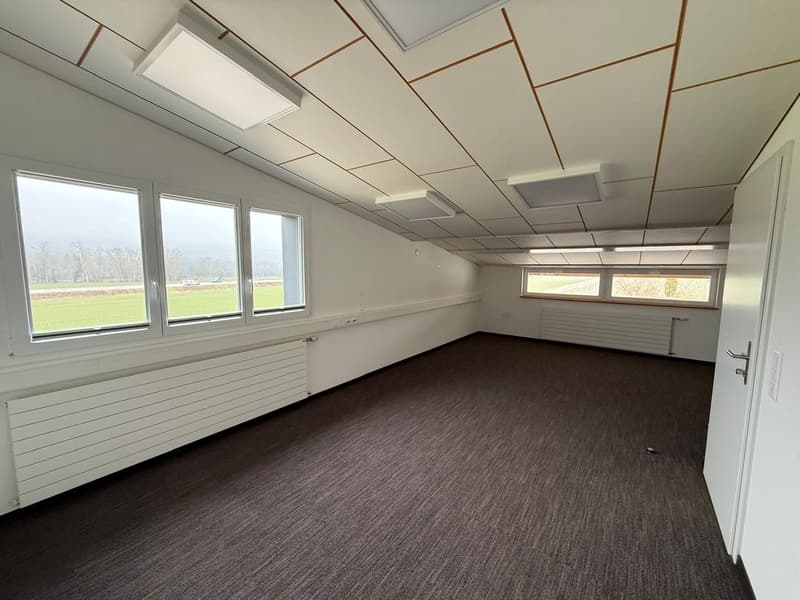 empty room with large windows, white walls, ceiling with recessed lights, and carpet flooring