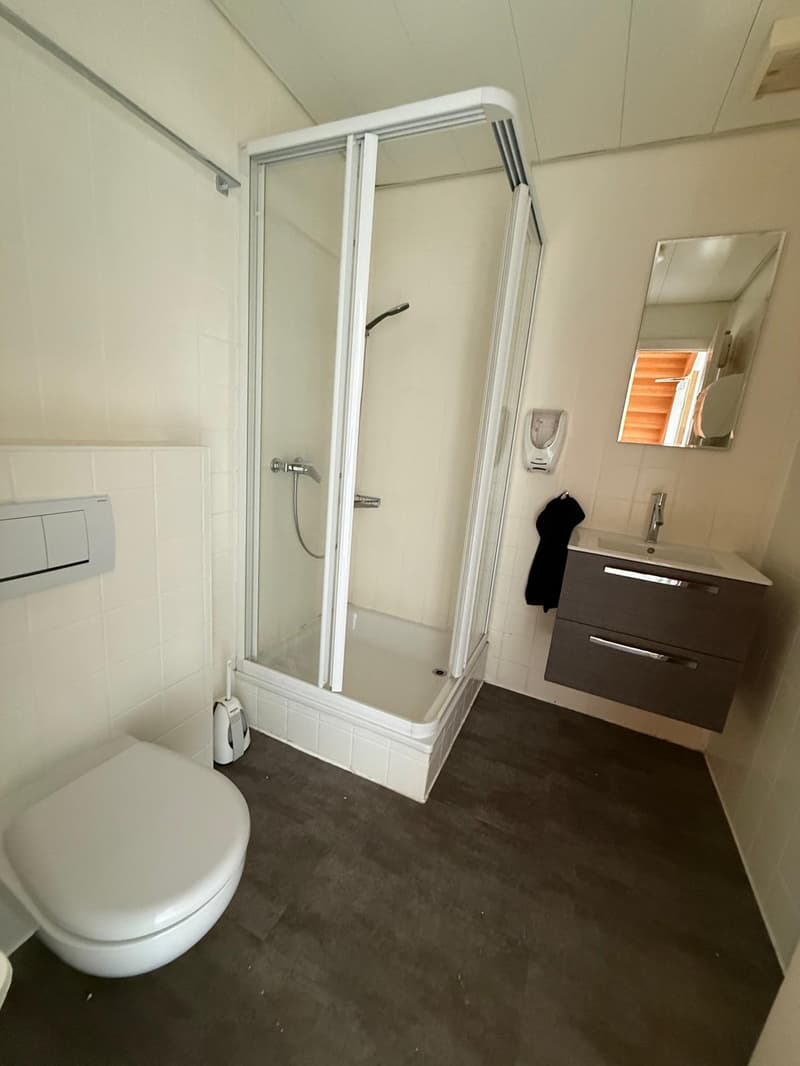Modern, clean and simple bathroom with white toilet, a small sink and a walk-in shower