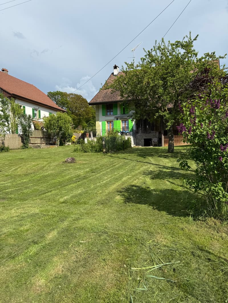 A 5 minutes de Payerne! A vendre ferme avec possibilité de créer plusieurs appartements (4)
