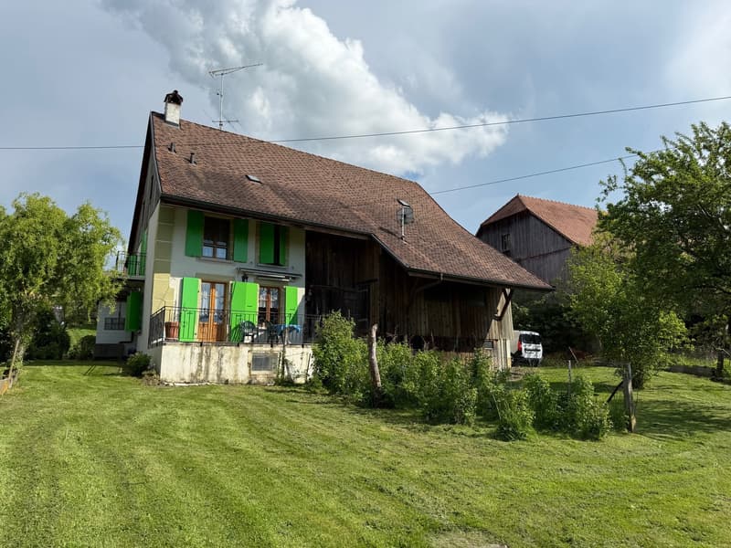 A 5 minutes de Payerne! A vendre ferme avec possibilité de créer plusieurs appartements (2)