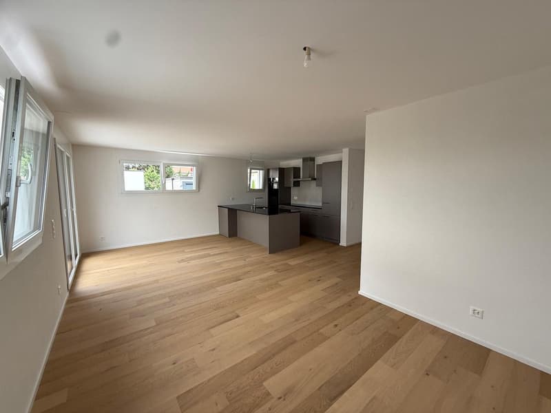 A 20 MINUTE D'YVERDON-LES-BAIN! PLUS QUE 2 VILLAS DISPONIBLES! (3)