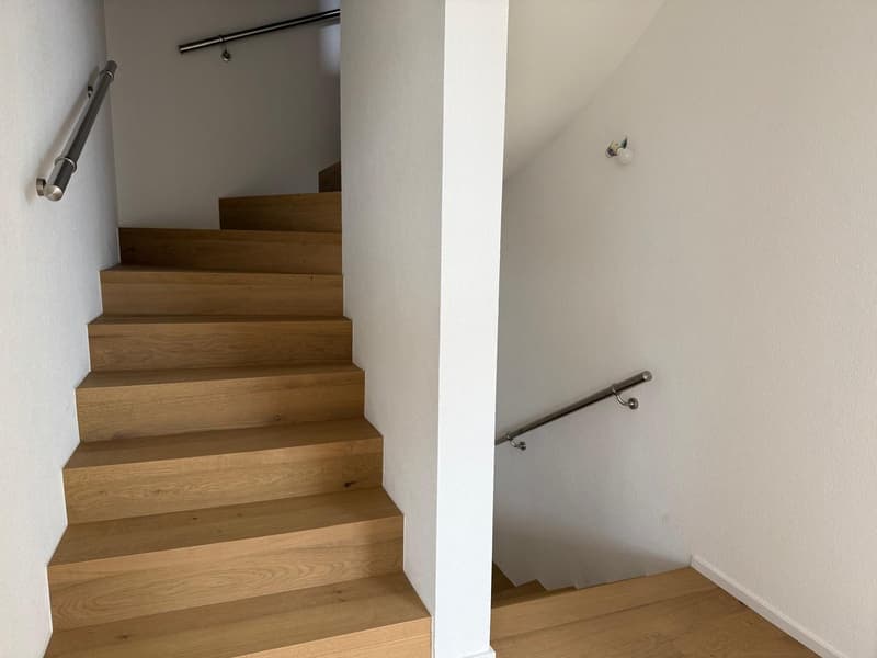 A 20 MINUTE D'YVERDON-LES-BAIN! PLUS QUE 2 VILLAS DISPONIBLES! (9)