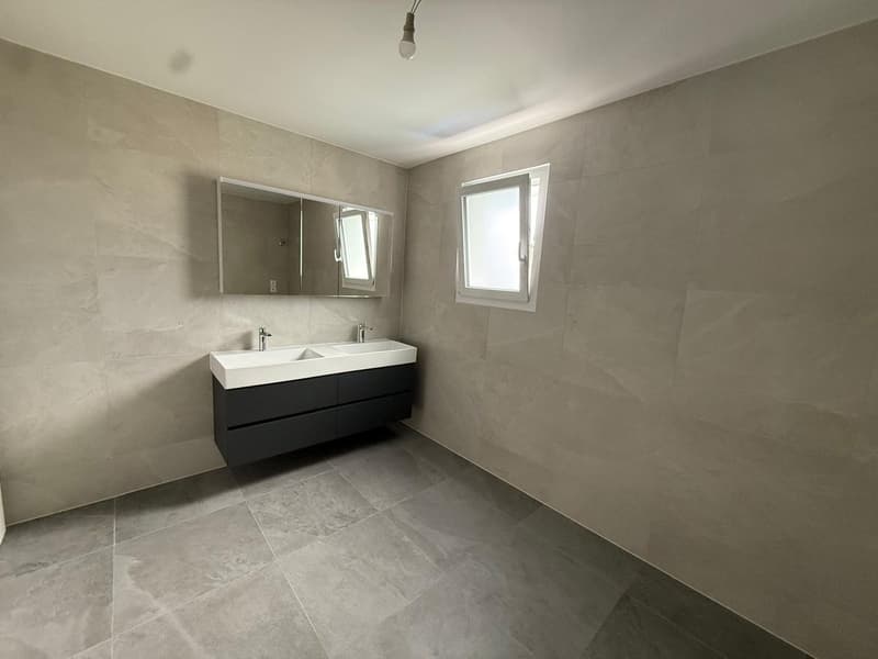 A 20 MINUTE D'YVERDON-LES-BAIN! PLUS QUE 2 VILLAS DISPONIBLES! (7)