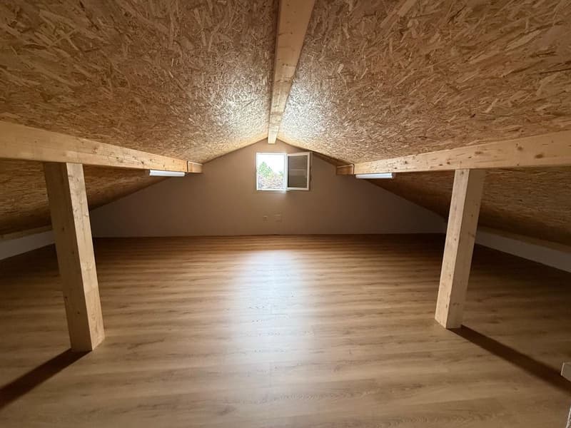 A 20 MINUTE D'YVERDON-LES-BAIN! PLUS QUE 2 VILLAS DISPONIBLES! (10)