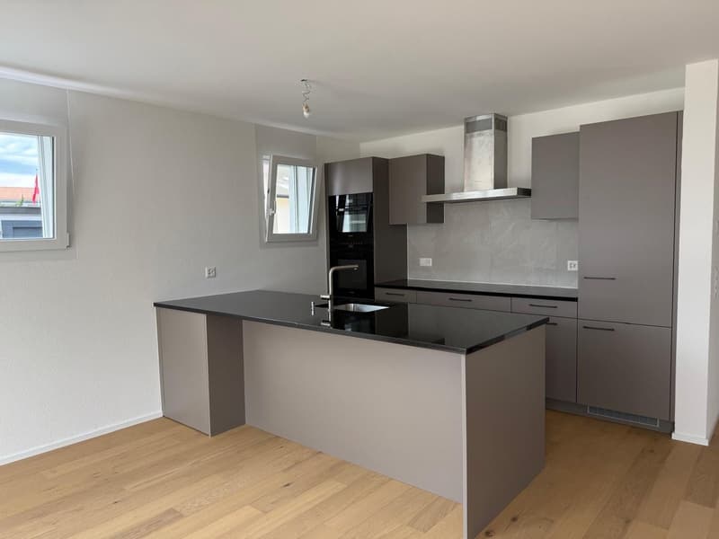 A 20 MINUTE D'YVERDON-LES-BAIN! PLUS QUE 2 VILLAS DISPONIBLES! (4)